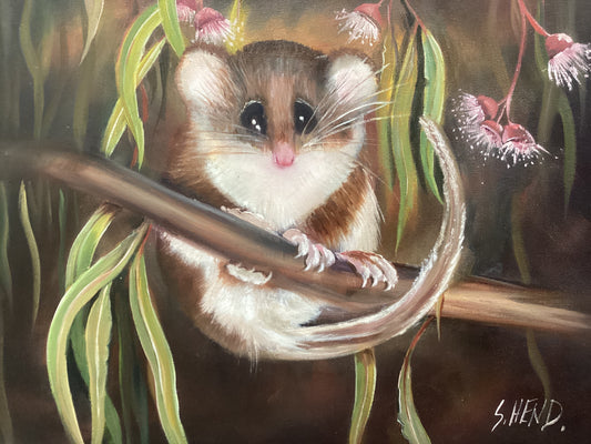 "Glider Possum" Oil Painting On Stretched Canvas H 16" X W 20"-Hand Picked Imports