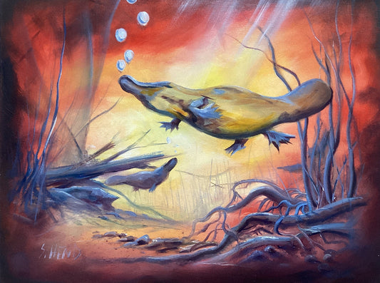 "Platypus Swimming" Oil on Stretched Canvas 16" X 20"-Hand Picked Imports