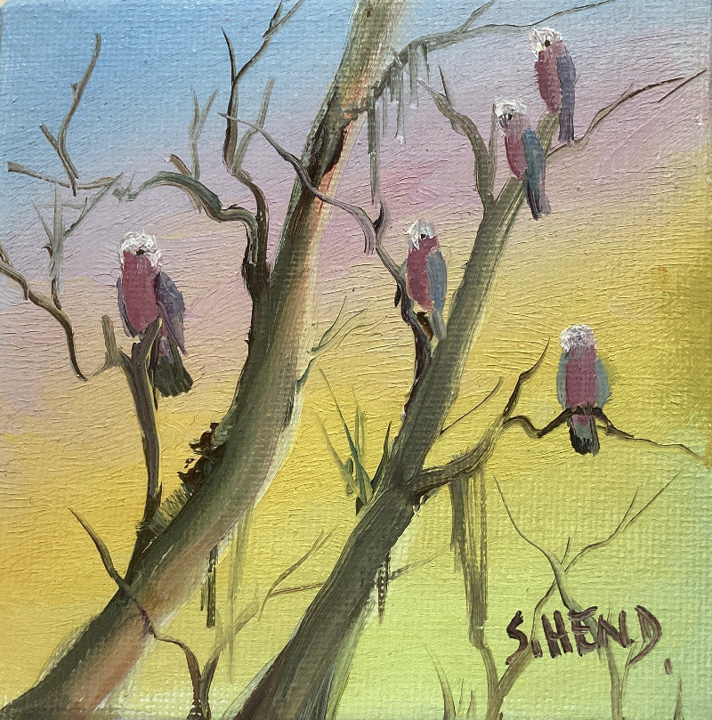 Miniature Oil on Canvas with Galahs + Easel By Susan Hend Russell Size 10x10cm-Hand Picked Imports