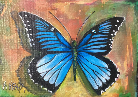 "Blue Butterfly" Miniature Oil Painting On Stretched Canvas 7x 5” By Susan Hend Russell-Hand Picked Imports