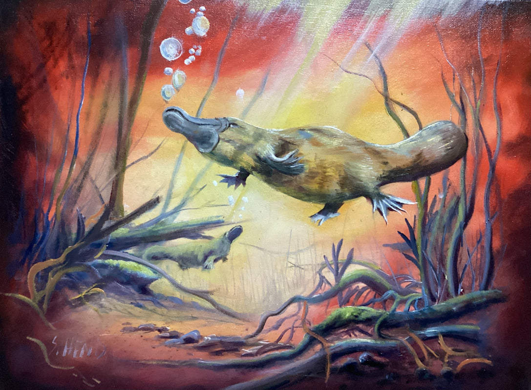 Beneath the Golden Waters – Platypus Oil Painting by Susan Hend Russell